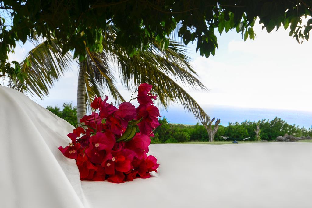 Montpelier Plantation & Beach Чарльзтаун Екстер'єр фото